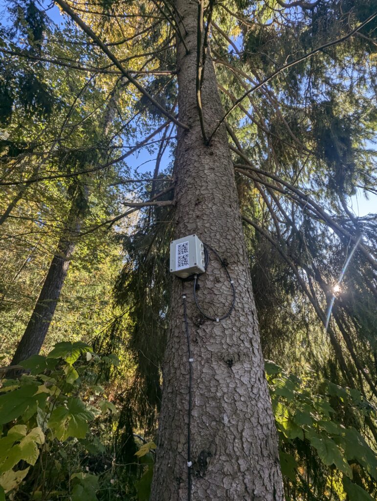 Teknologia kohtaa lintuharrastuksen – Matkani BirdNET Pi:n parissa, Salon Klubitalo